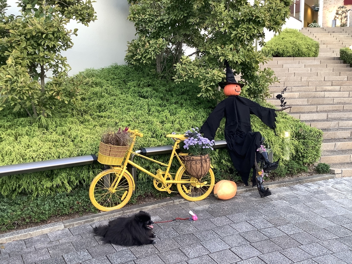 f:id:vwanko:20211008214609j:plain