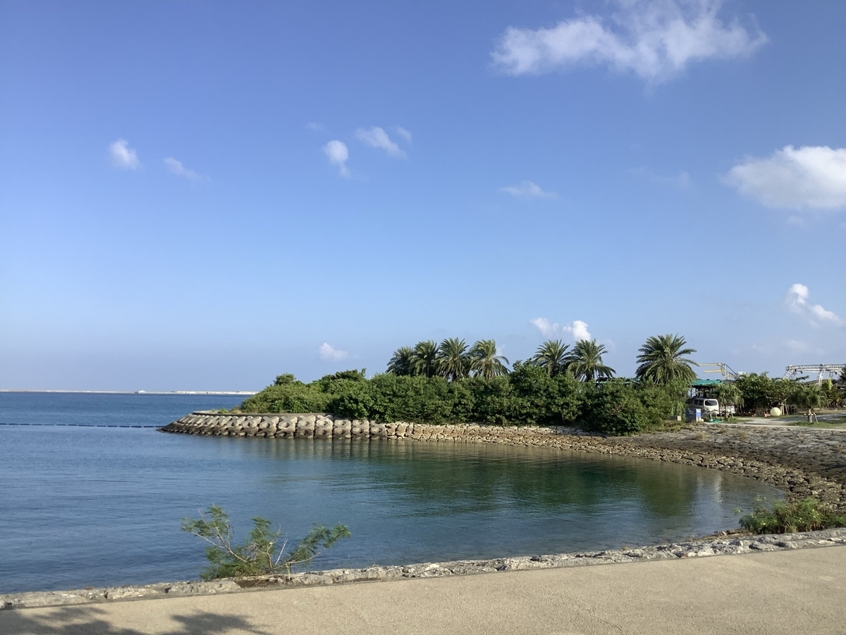 f:id:vwanko:20211121182725j:plain