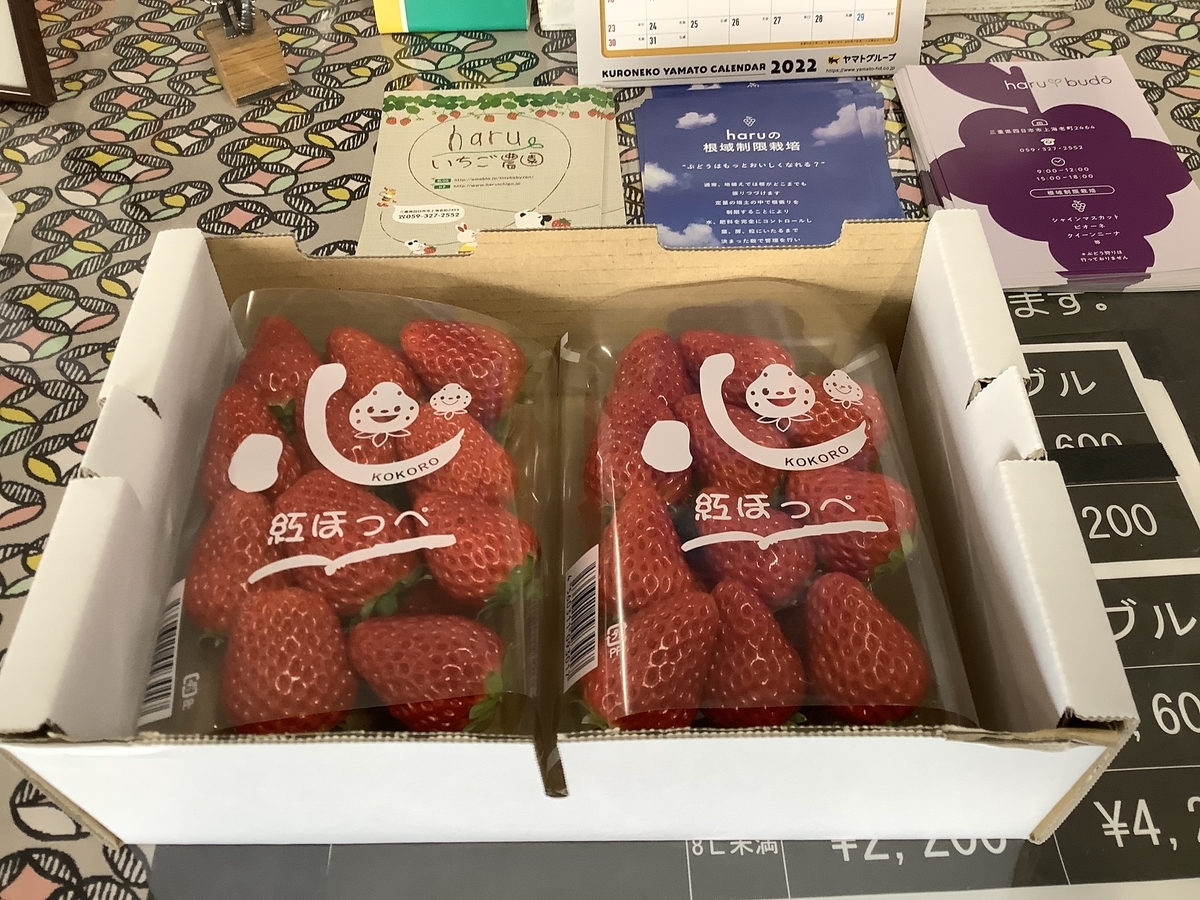 f:id:vwanko:20220116175737j:plain