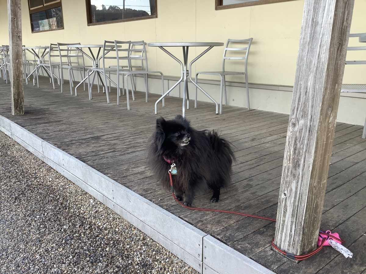 f:id:vwanko:20220116180929j:plain