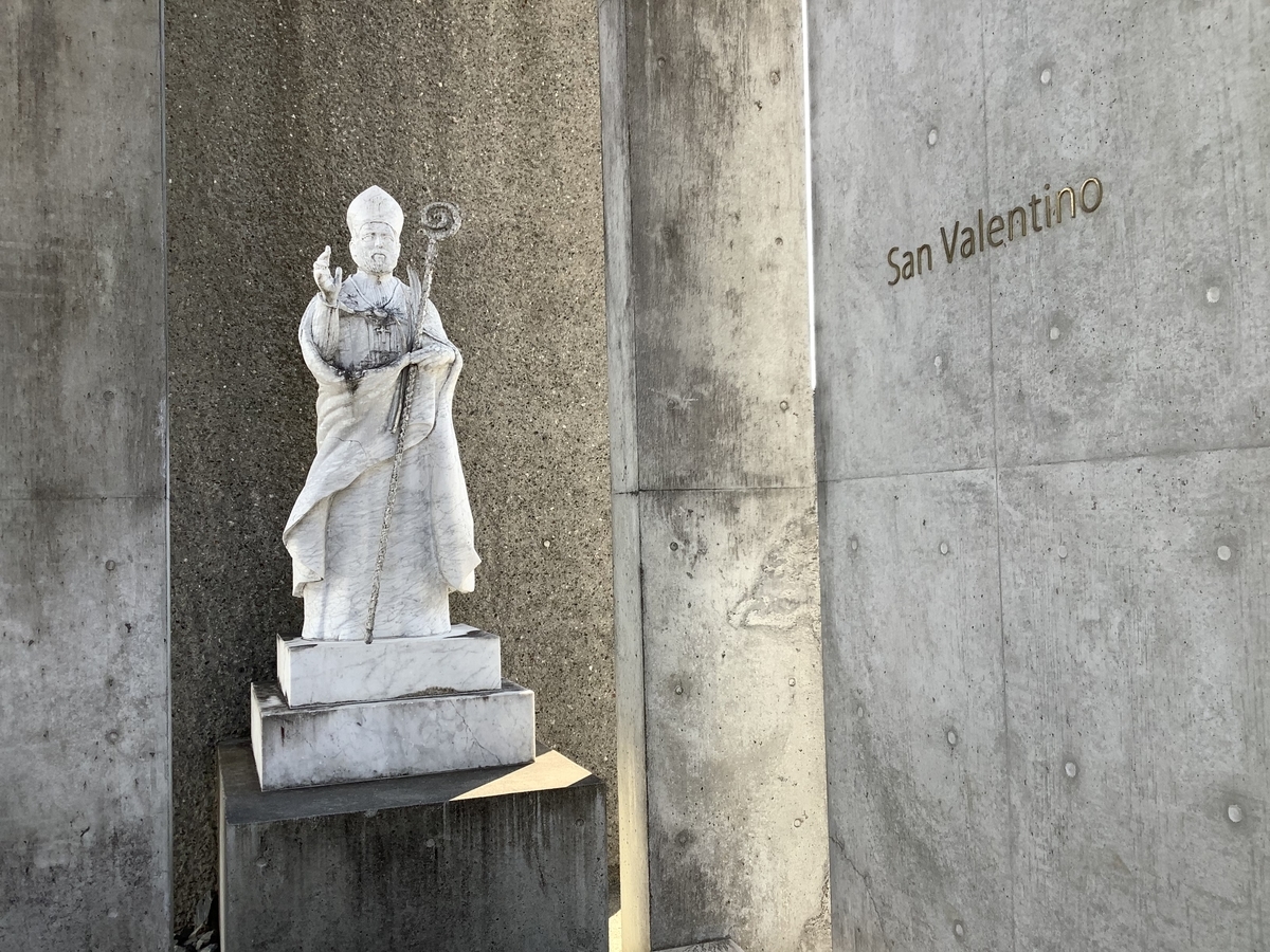 f:id:vwanko:20220116181011j:plain