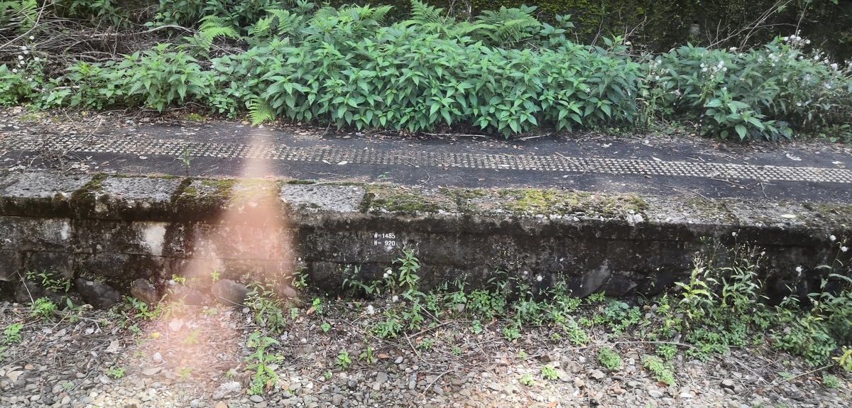 f:id:vwpolo988:20190909135423j:plain