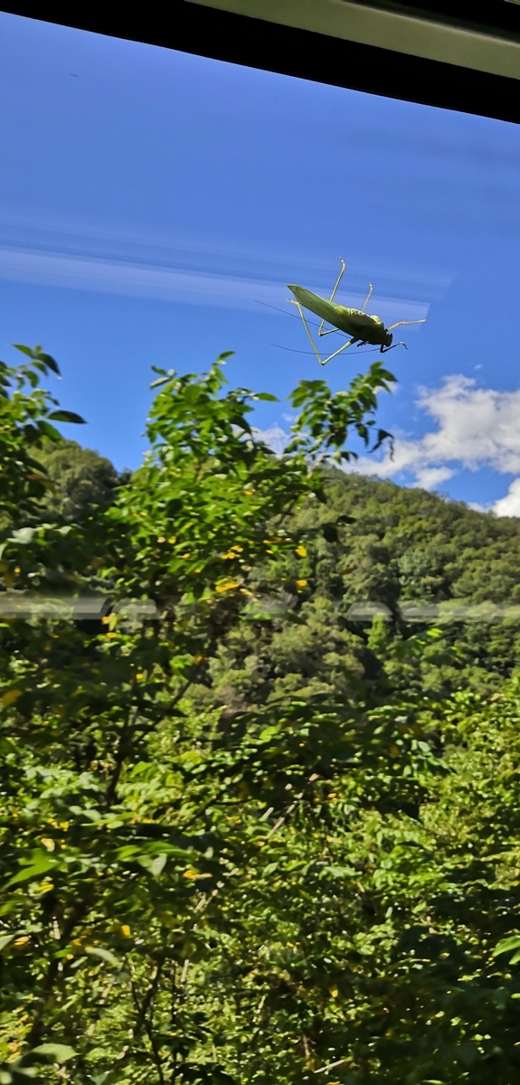 f:id:vwpolo988:20190909140048j:plain