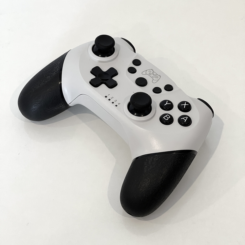 Playing Zenless Zone Zero with Nintendo Switch Pro Controller｜プロコンでゼンレスゾーンゼロをプレイ
