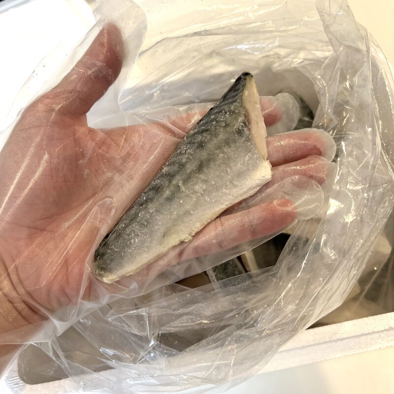 ふるさと納税で届いた無塩・骨取りさばのしっぽ側の切り身を手に取った様子