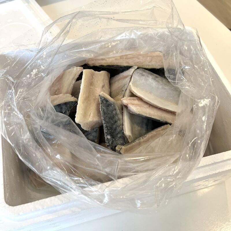 ふるさと納税の返礼品、発泡スチロールに入った冷凍さば2.5kg（骨なし・無塩）