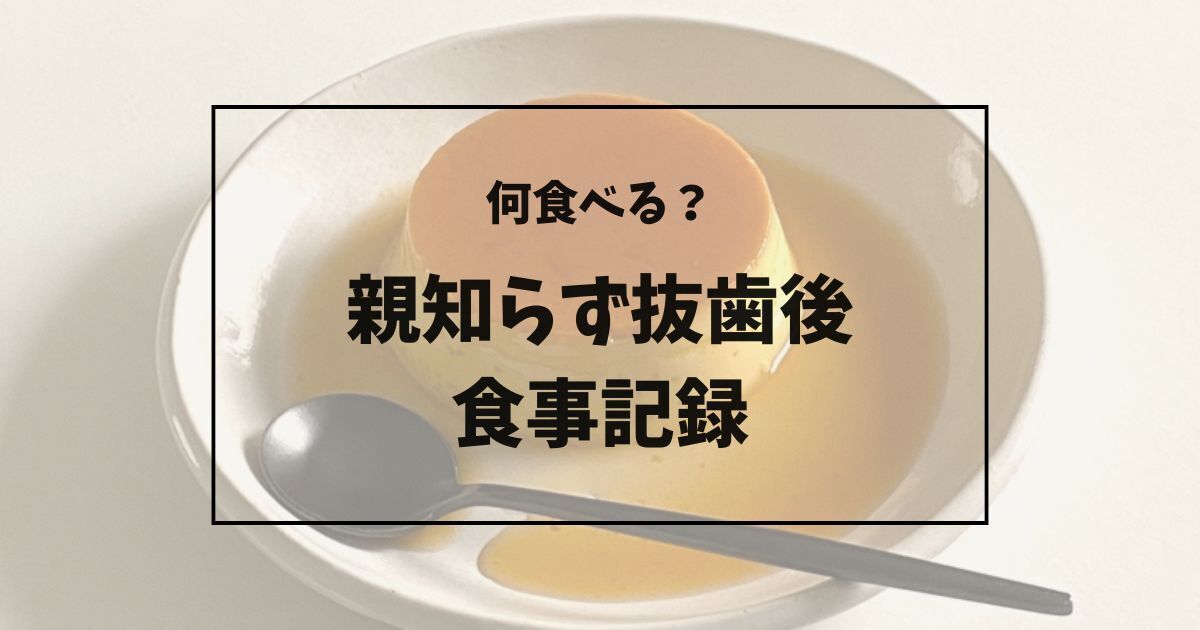 プリンの写真(親知らず抜歯後の食事記録)