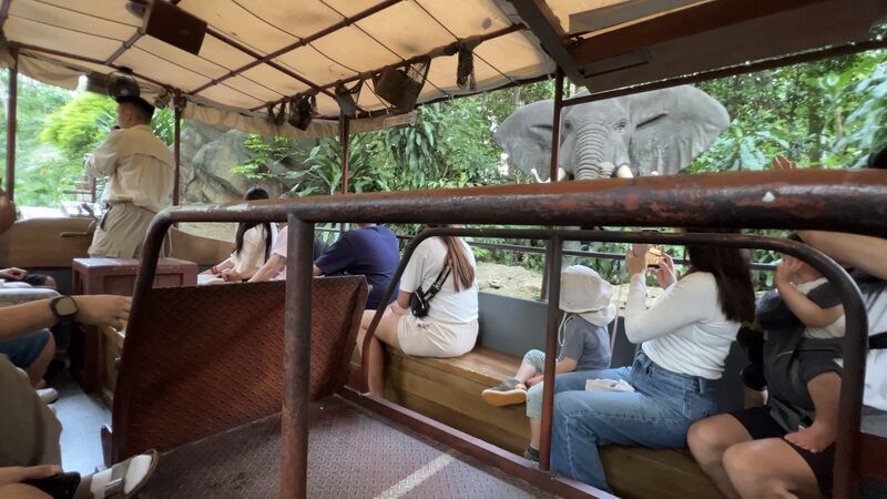 香港ディズニーランドのジャングル・リバー・クルーズに3歳子連れで乗った体験