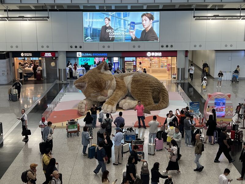 香港国際空港の大きい猫のインスタレーション