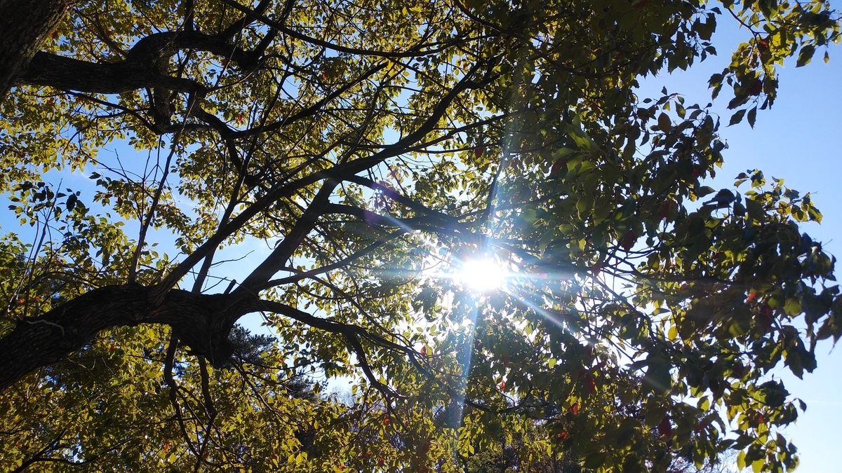 f:id:vymspydhdv:20200823072113j:plain