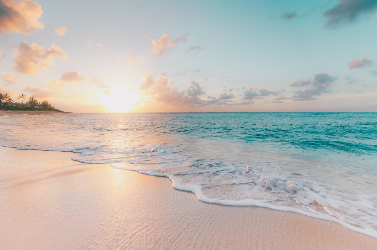 f:id:vyoshi:20190905195725j:plain f:id:vyoshi:20190905195725j:plain