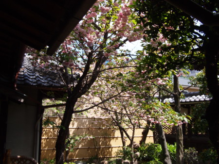 f:id:vzf12576:20120421105703j:image
