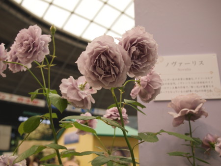 f:id:vzf12576:20120519144021j:image