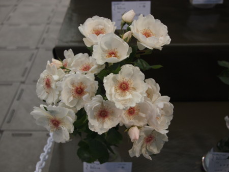 f:id:vzf12576:20120519160953j:image