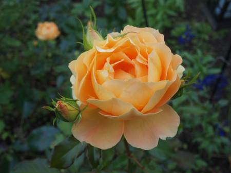 f:id:vzf12576:20121021115052j:image