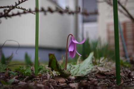 f:id:vzf12576:20130505170117j:image