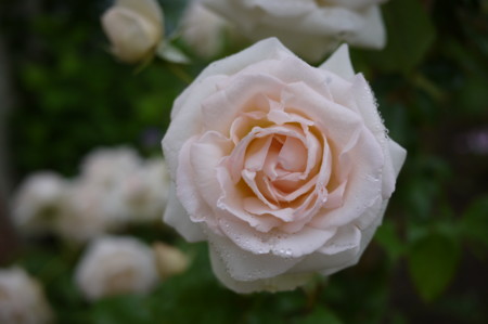 f:id:vzf12576:20130724101919j:image