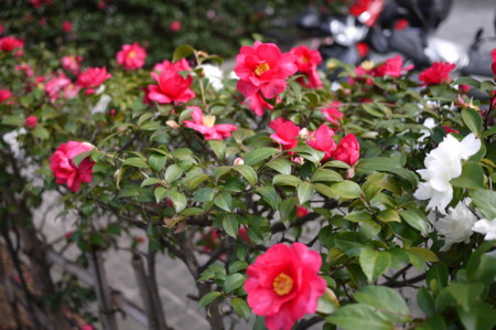 f:id:vzf12576:20140116102029j:image