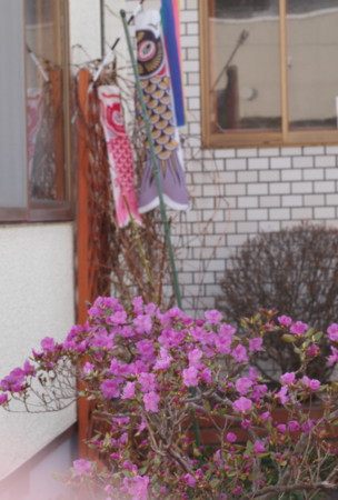 f:id:vzf12576:20140430063606j:image
