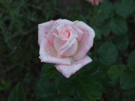 f:id:vzf12576:20140630185906j:image