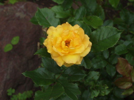 f:id:vzf12576:20140703064729j:image