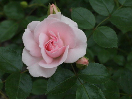 f:id:vzf12576:20140705181147j:image