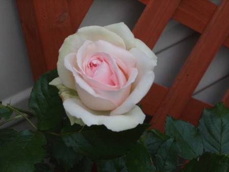 f:id:vzf12576:20140705181314j:image
