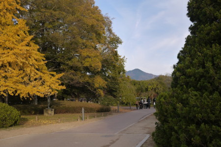 f:id:vzf12576:20141121154730j:image