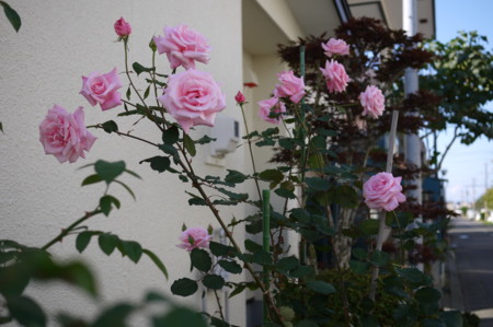 f:id:vzf12576:20150921084053j:image