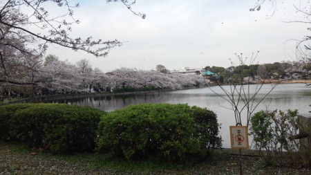 f:id:vzf12576:20160406161836j:image