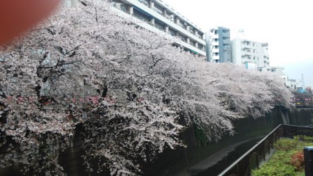 f:id:vzf12576:20160407161404j:image