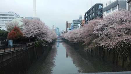 f:id:vzf12576:20160407164216j:image