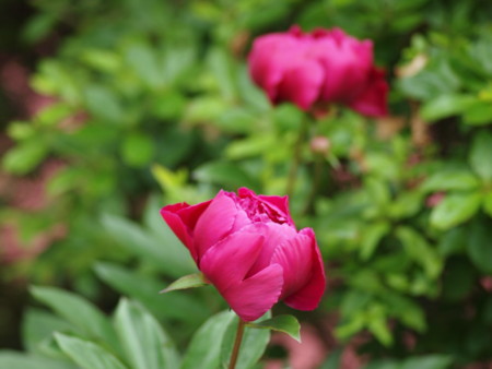 f:id:vzf12576:20160701181222j:image