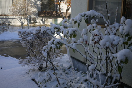f:id:vzf12576:20161106084124j:image