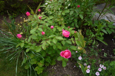 f:id:vzf12576:20170701073955j:image