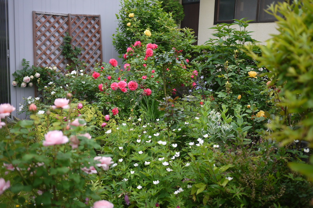 f:id:vzf12576:20190704082124j:plain f:id:vzf12576:20190704082124j:plain