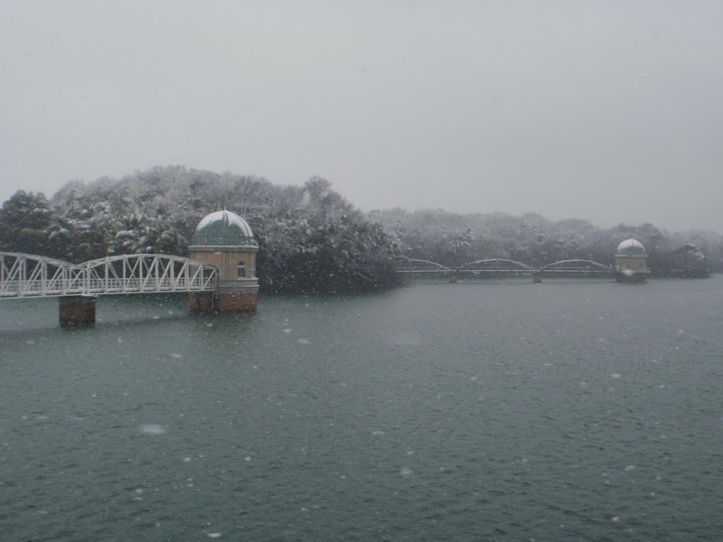積雪の第28回多摩湖駅伝大会お疲れさまでした 出場してません サバネコ