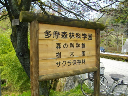 f:id:w-yorimichi:20090412114240j:image
