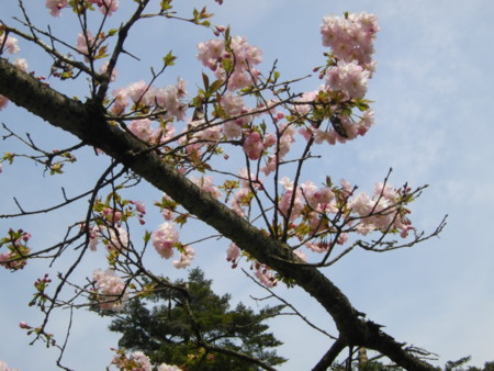 f:id:w-yorimichi:20090412115705j:image