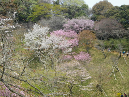 f:id:w-yorimichi:20090412120012j:image