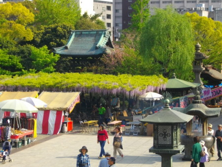 f:id:w-yorimichi:20090419151454j:image