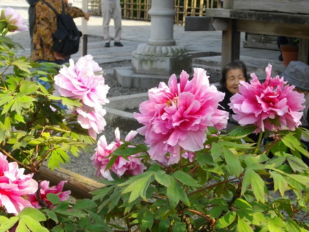 f:id:w-yorimichi:20090419151807j:image