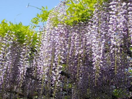 f:id:w-yorimichi:20090419152007j:image