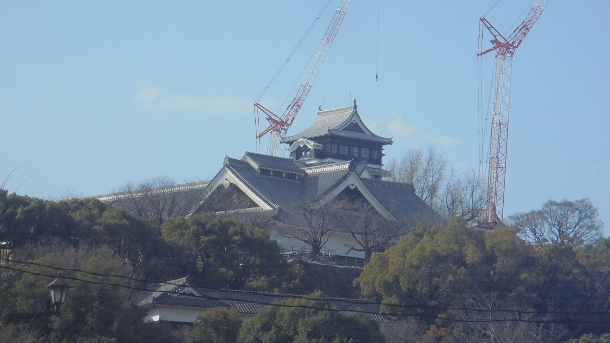 f:id:w-yorimichi:20200316115739j:plain