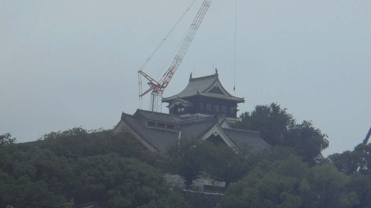 f:id:w-yorimichi:20200725125133j:plain