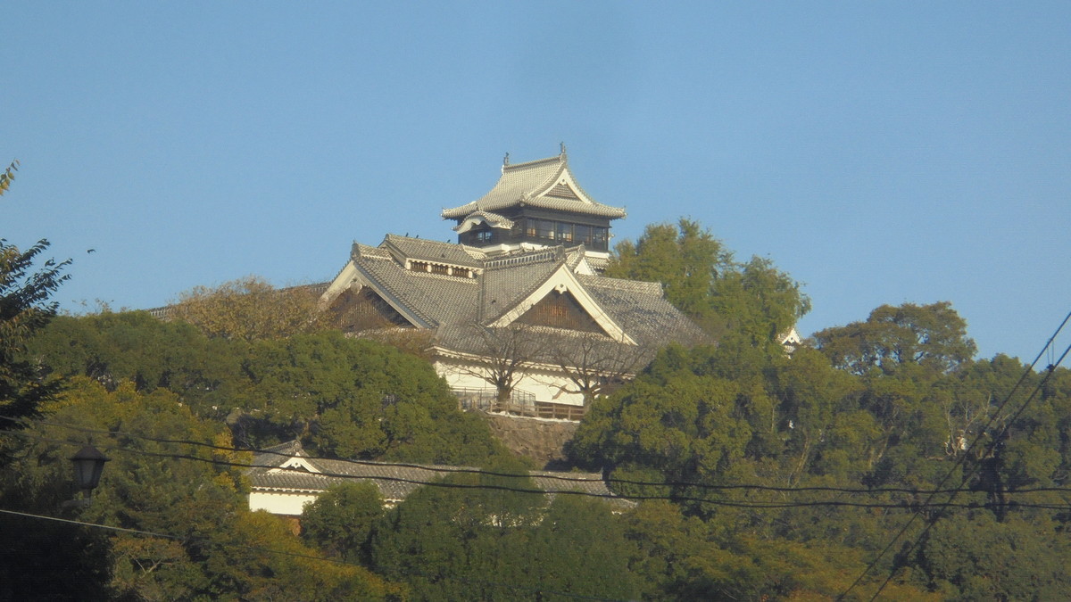 f:id:w-yorimichi:20201025073321j:plain