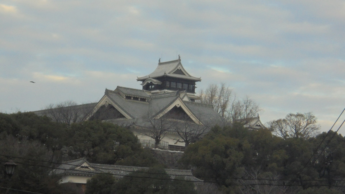 f:id:w-yorimichi:20201220073932j:plain