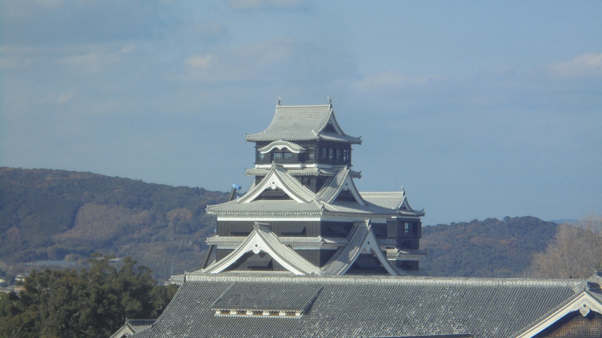 f:id:w-yorimichi:20201221133258j:plain