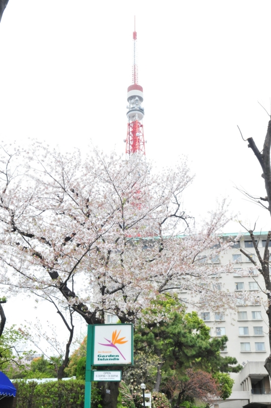 f:id:w2000tmk:20150404132222j:image:w360 f:id:w2000tmk:20150404132222j:image:w360