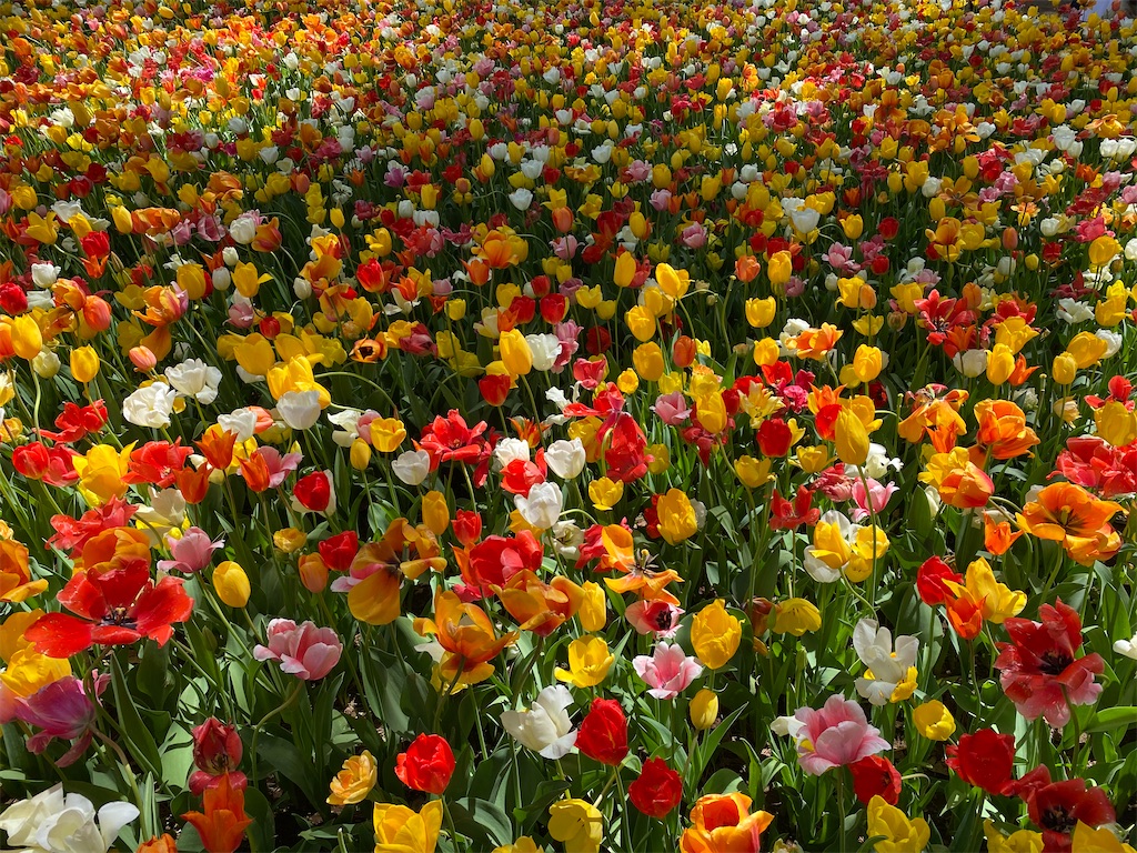 f:id:w2tiawy:20220402112016j:image f:id:w2tiawy:20220402112016j:image